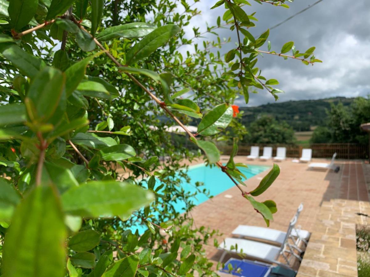 Agriturismo La Palazzetta Di アッシジ エクステリア 写真