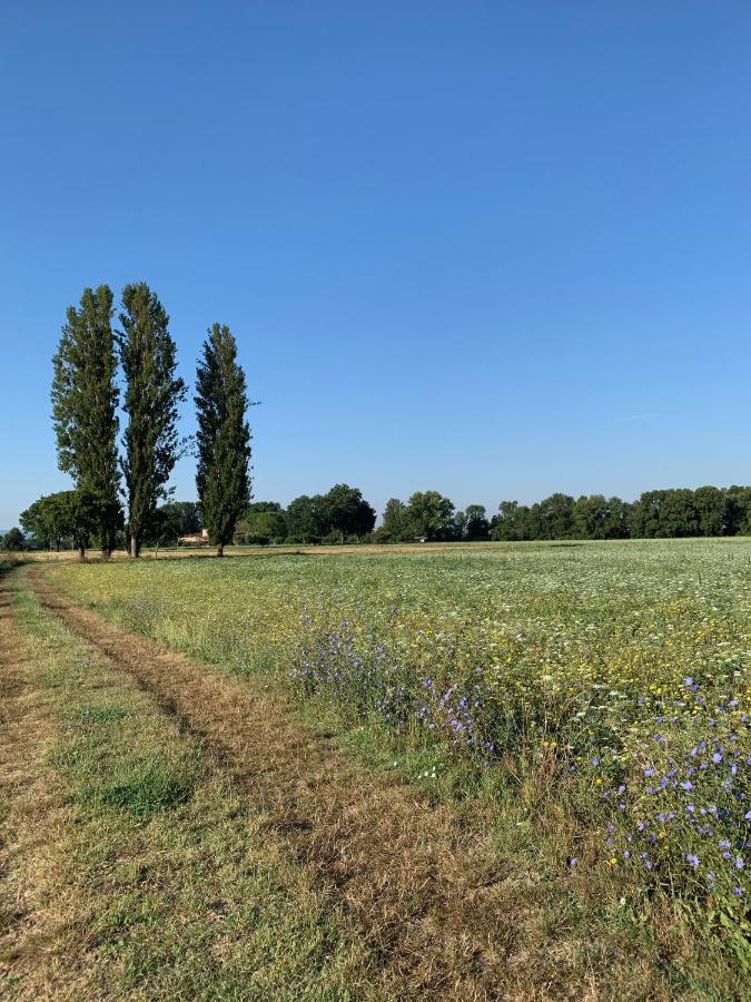 Agriturismo La Palazzetta Di アッシジ エクステリア 写真