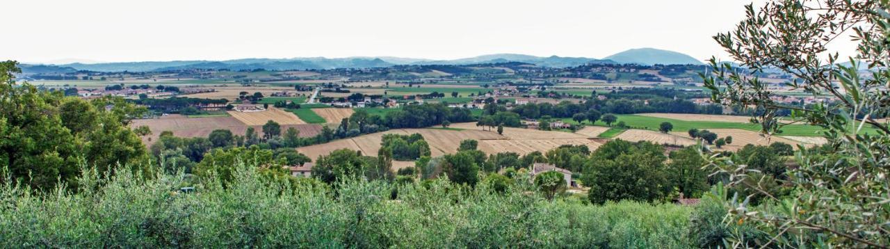 Agriturismo La Palazzetta Di アッシジ エクステリア 写真